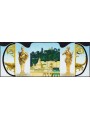 FRANCE 2005 Gardens of France (3rd series) s/s MNH**