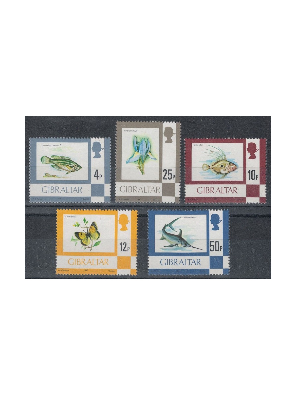 GIBILTERRA 1981 Flora e fauna 5v MNH**