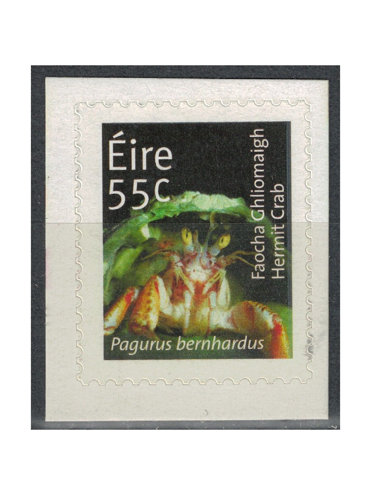 IRELAND 2011 Fauna, Pagurus bernhardus MNH**