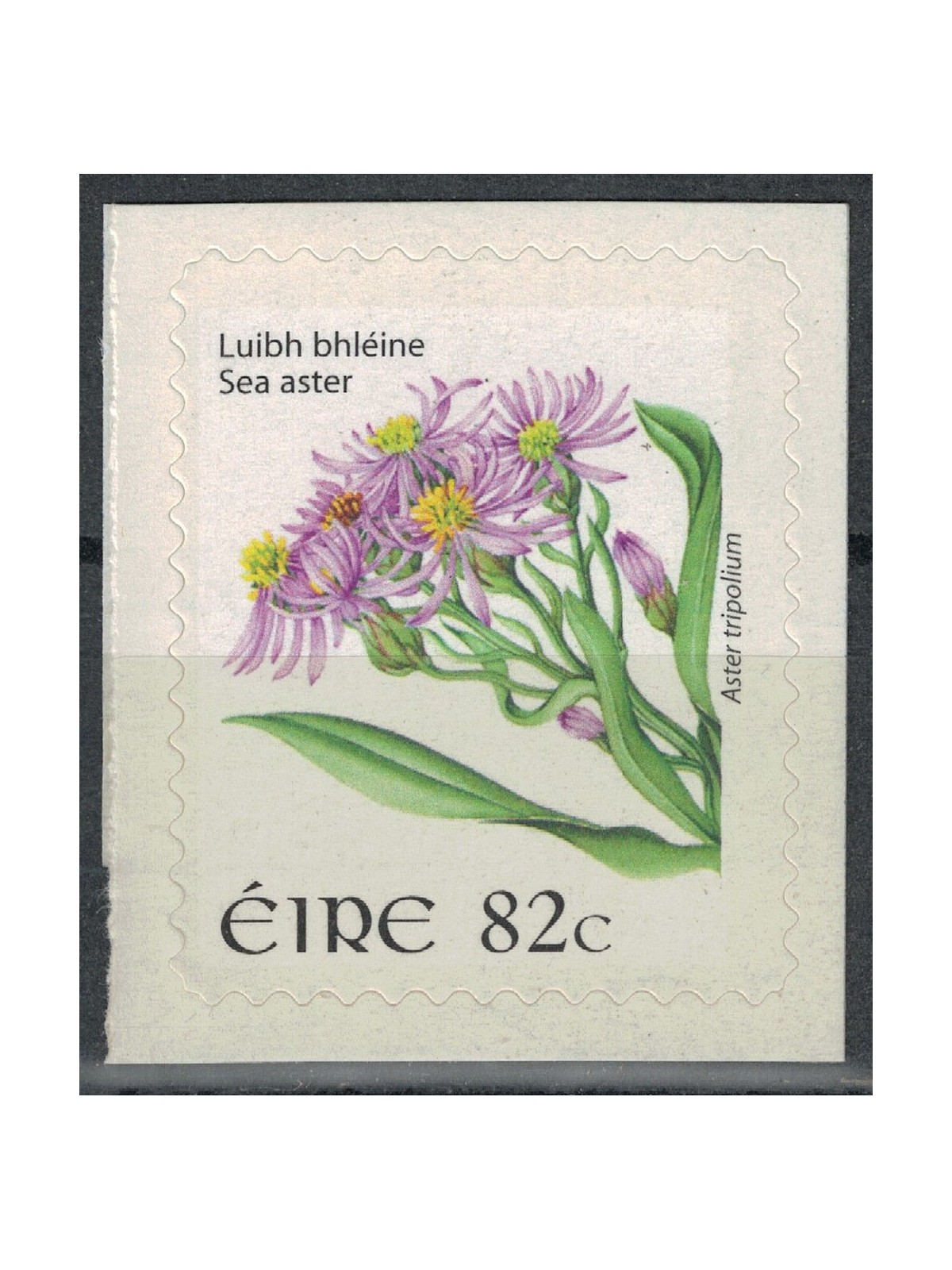 IRLANDA 2009 Fiori, Sea Aster MNH**