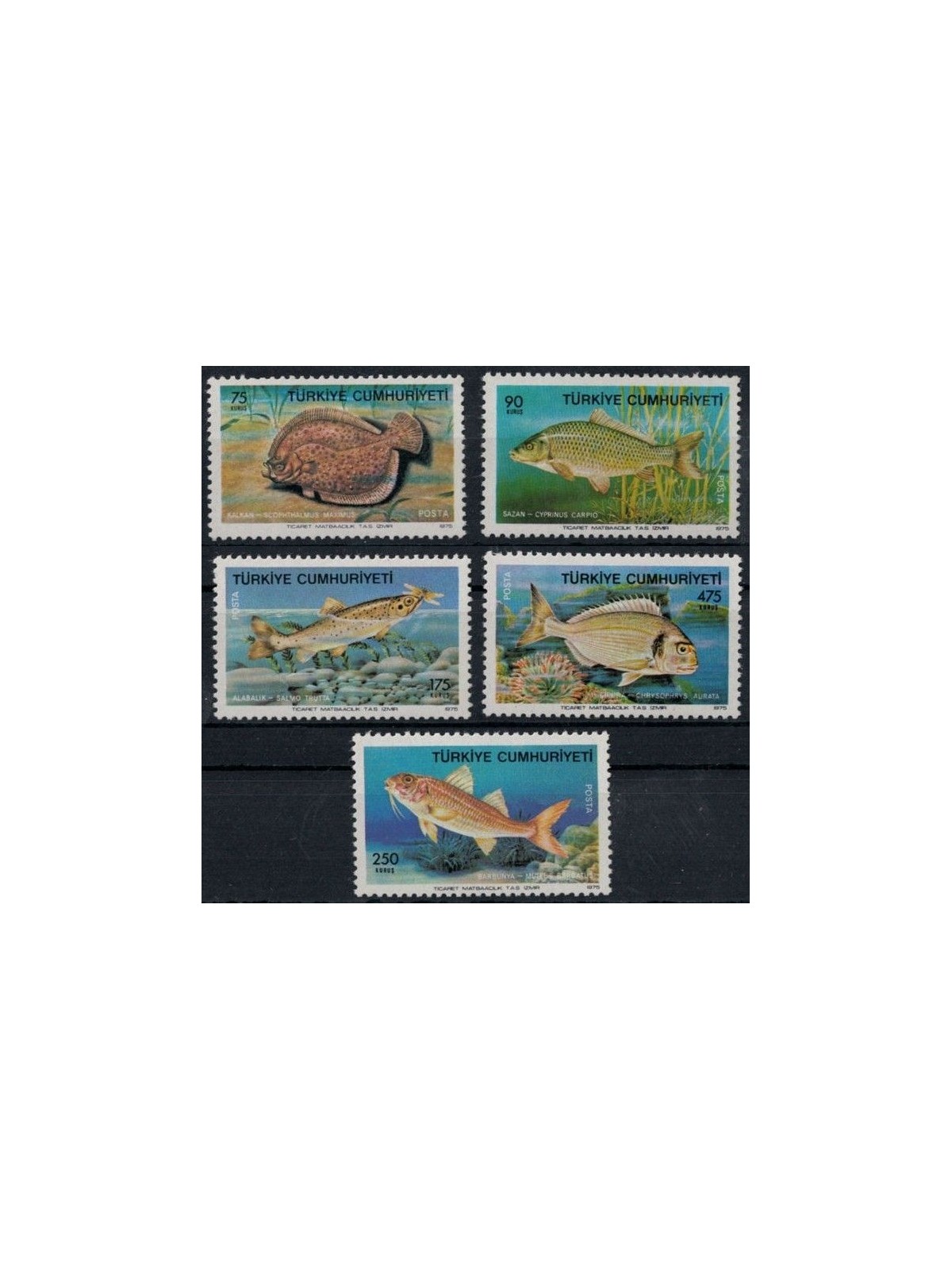 TURKEY 1975 Fish 5v MNH**