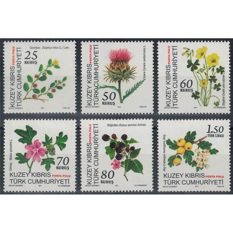 NORTHERN CYPRUS 2011 Flowers 6v MNH**