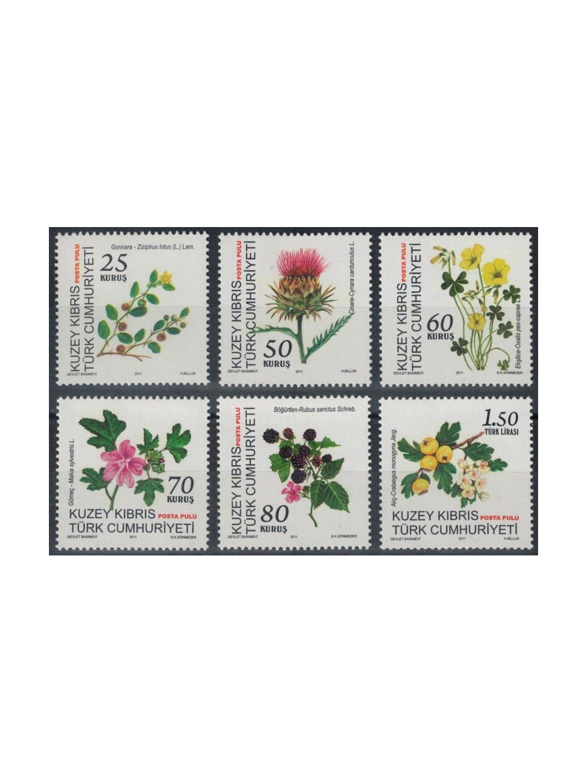 NORTHERN CYPRUS 2011 Flowers 6v MNH**