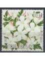 CIPRO 2012 Gelsomino, francobollo profumato MNH**