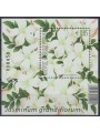 CYPRUS 2012 Jasmine, scented stamp s/s MNH**