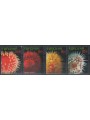 FAEROER 2012 Marine fauna, anemones 4v MNH**