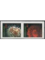 FAEROER 2012 Fauna marina, anemoni (da LB) 2v MNH**