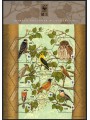 LIECHTENSTEIN 2011 WWF, protezione della natura BF MNH**