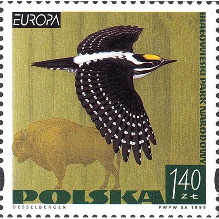 POLONIA 1999 Europa MNH**