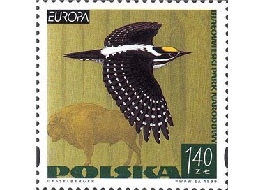 POLAND 1999 Europe MNH**