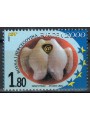 CROATIAN BOSNIA 2000 Europe MNH**