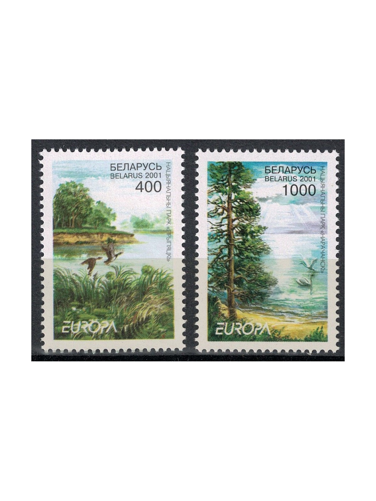 BELARUS 2001 Europe 2v MNH**