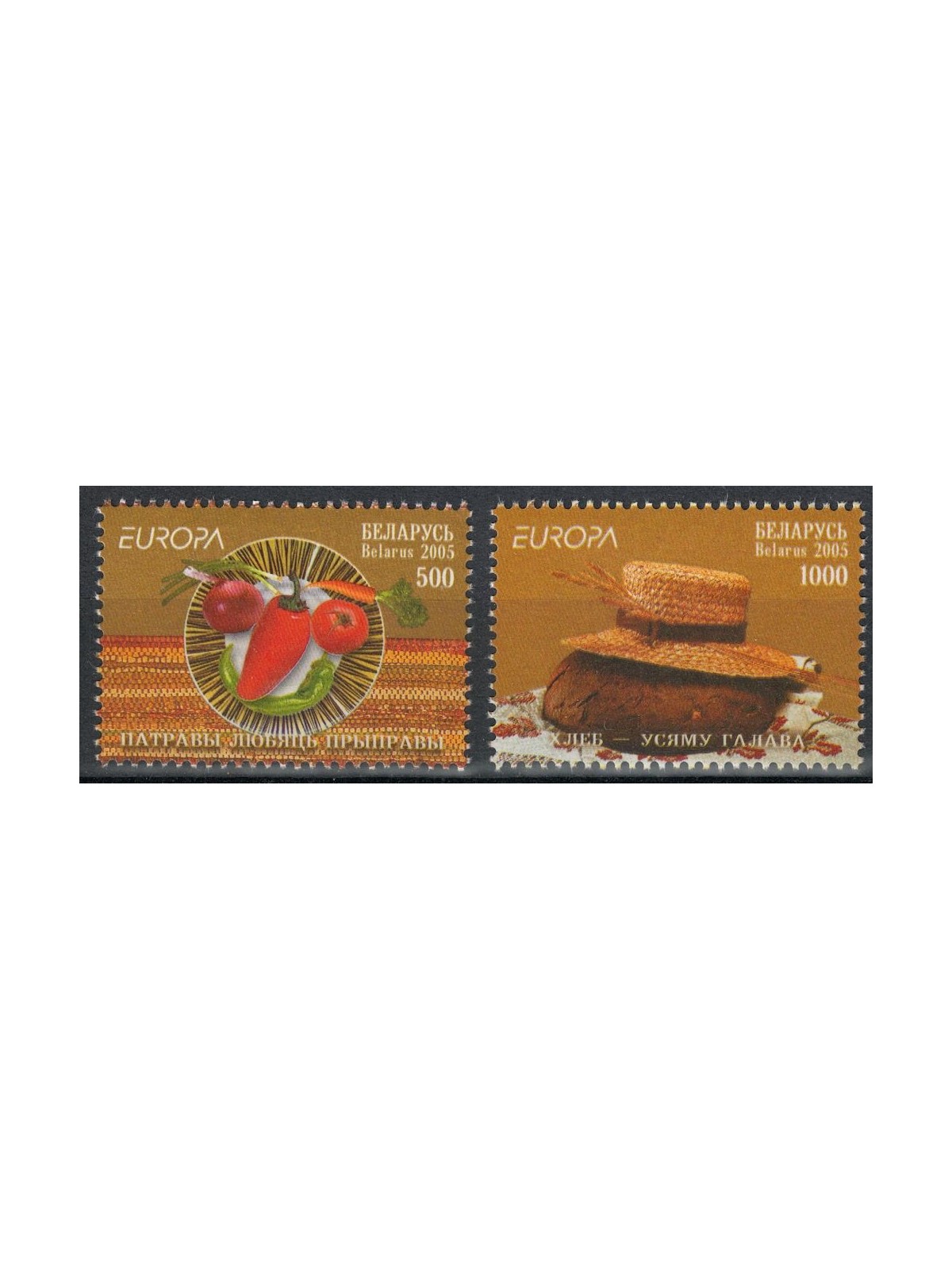 BIELORUSSIA 2005 Europa 2v MNH**
