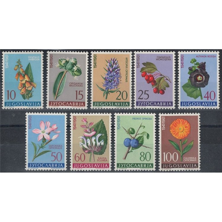 YUGOSLAVIA 1961 Flora, medicinal plants 9v MNH**