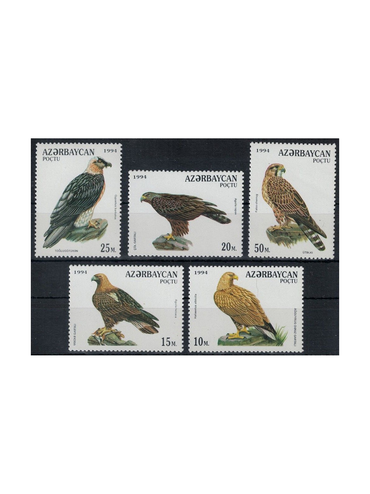 AZERBAIJAN 1994 Fauna, birds of prey 5v MNH**