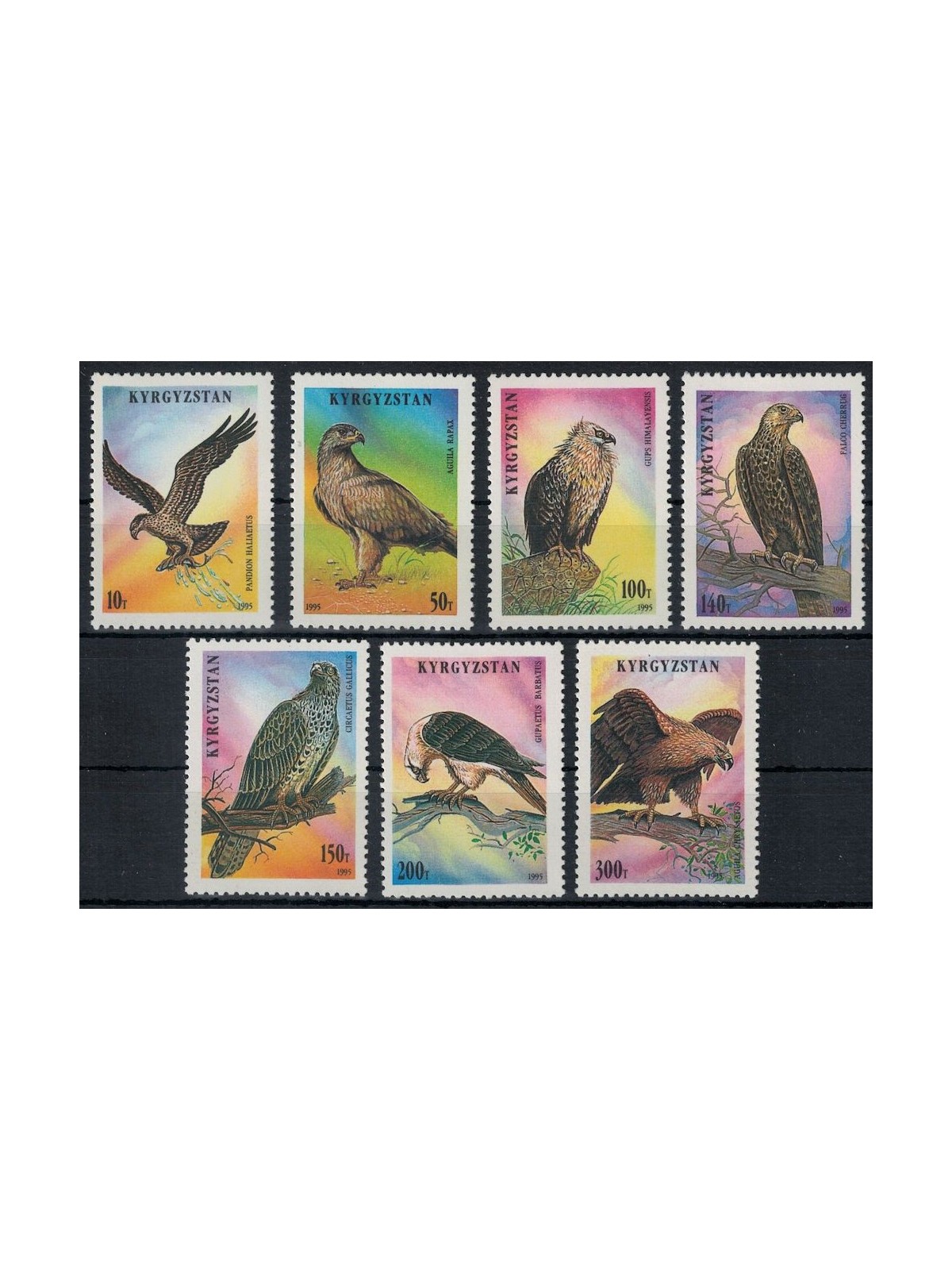 KYRGYZSTAN 1995 Fauna, birds of prey 7v MNH**