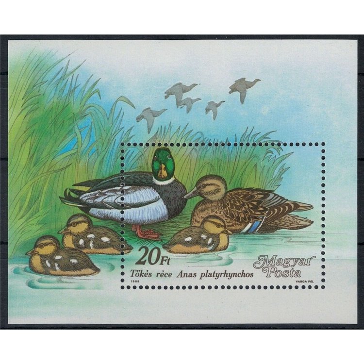 HUNGARY 1988 Wild Ducks s/s MNH**
