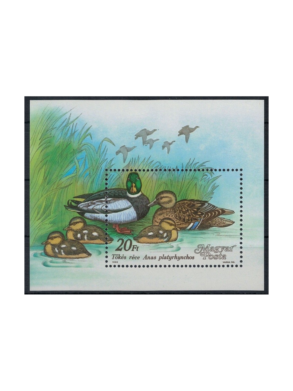 UNGHERIA 1988 Anatre selvatiche BF MNH**