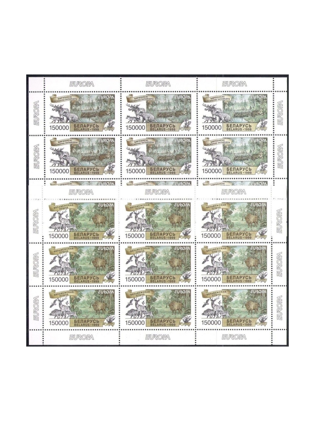 BELARUS 1999 Europe 2 m/s MNH**