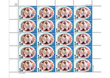 BOSNIA CROATA 2000 Europa MF MNH**
