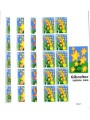 GIBRALTAR 2000 Europe 4 m/s MNH**