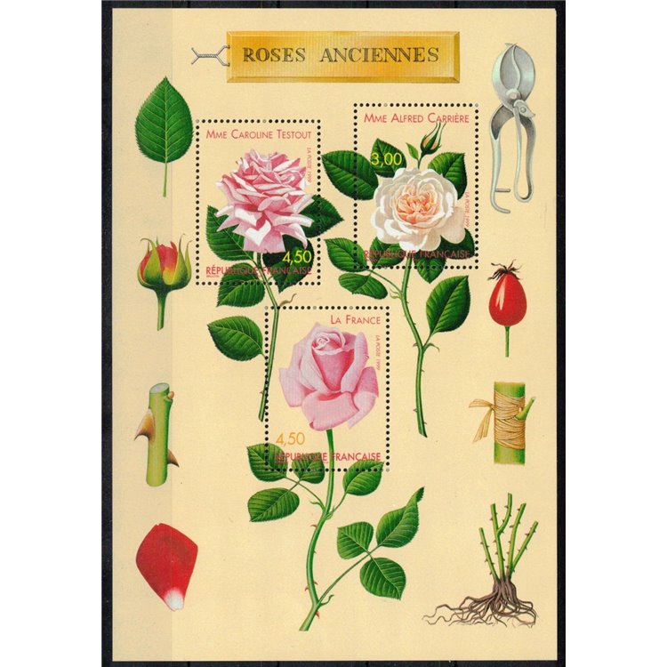 FRANCIA 1999 Congresso sulle rose antiche BF MNH**