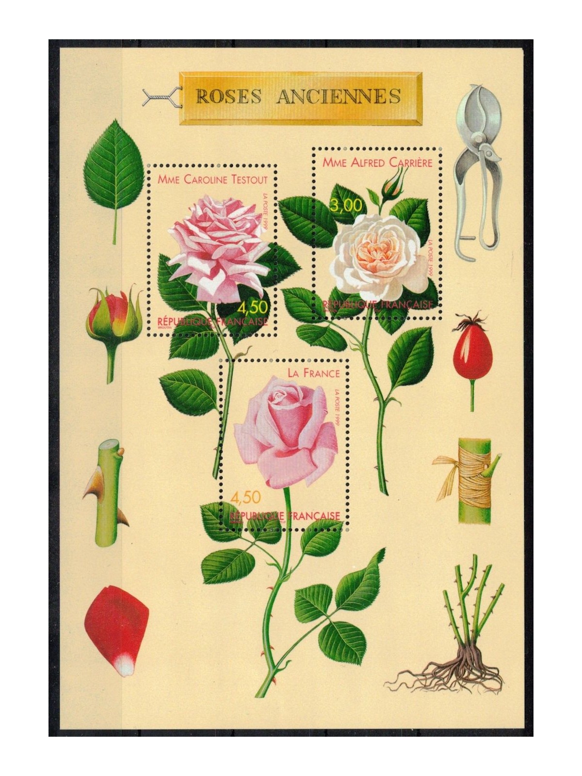 FRANCE 1999 Congress on Old Roses s/s MNH**