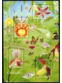 FRANCIA 2005 Natura di Francia (Orchidee) BF MNH**