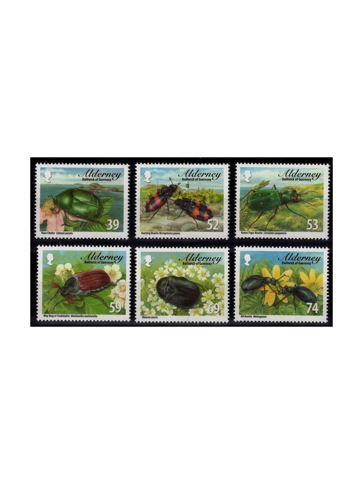 ALDERNEY 2013 Local Beetles 6v MNH**