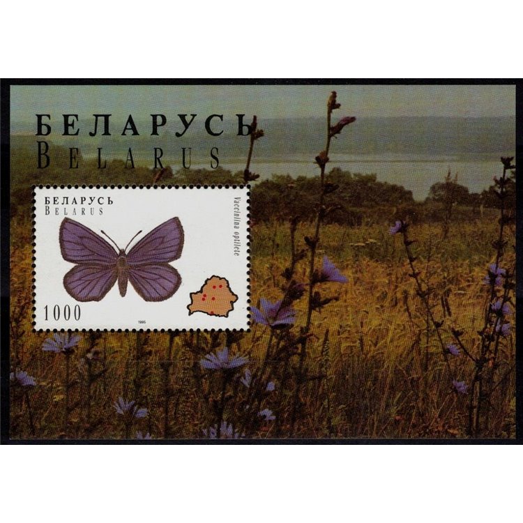 BELARUS 1996 Fauna (butterflies) s/s MNH**