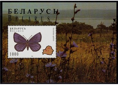 BIELORUSSIA 1996 Fauna (farfalle) BF MNH**