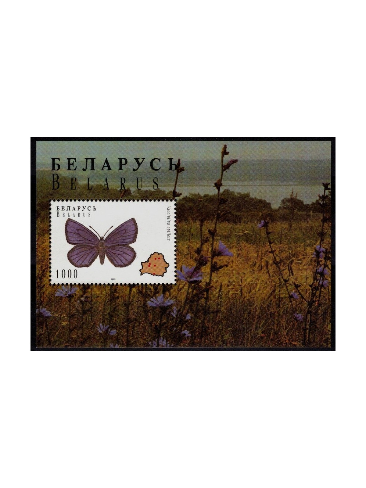 BIELORUSSIA 1996 Fauna (farfalle) BF MNH**