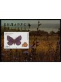 BELARUS 1996 Fauna (butterflies) s/s MNH**