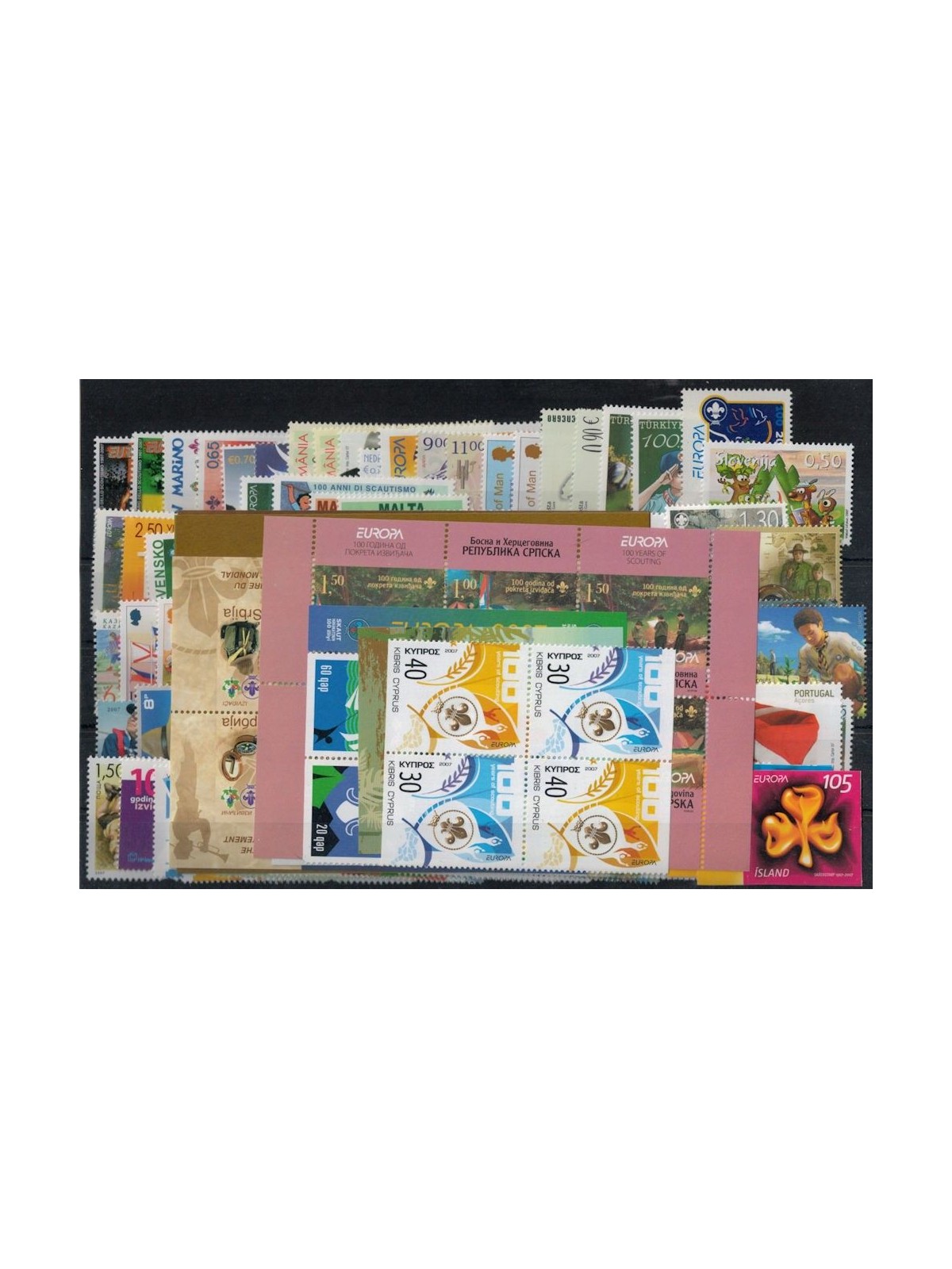 EUROPA CEPT 2007 Annata Completa 134v + 9 BF MNH**