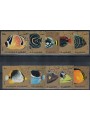 FUJEIRA 1972 Marine fauna, fish 10v us