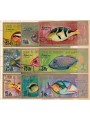 UMM AL QIWAIN 1967 Fauna marina, pesci, posta aerea 9v us