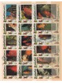 UMM AL QIWAIN 1972 Marine fauna, tropical fish 16v us