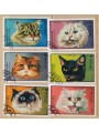 MANAMA 1971 Fauna, gatti 6v us