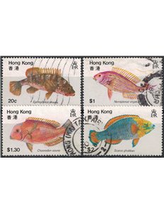 HONG KONG 1981 Marine fauna, fish 4v us