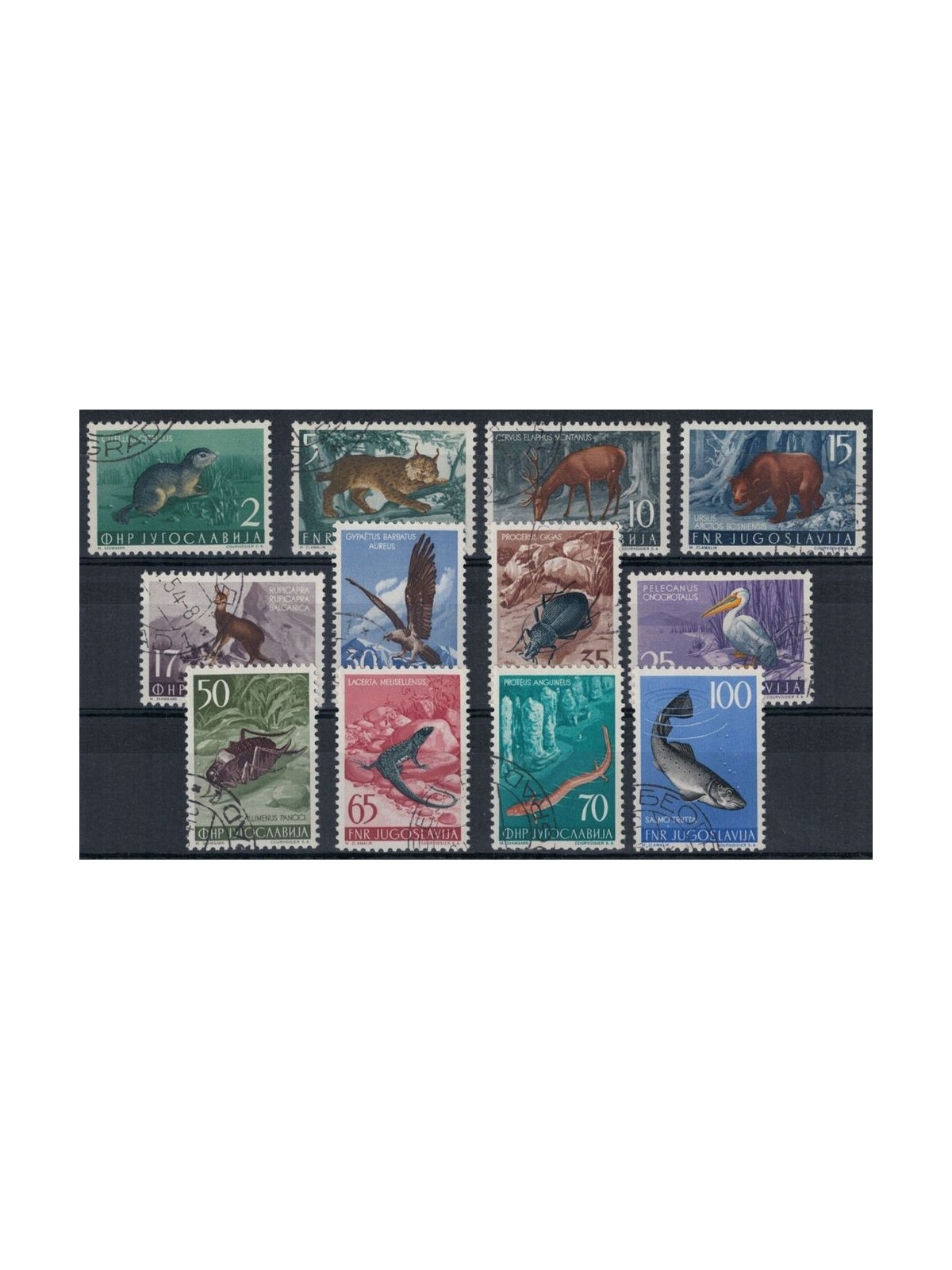 JUGOSLAVIA 1954 Fauna jugoslava 12v us