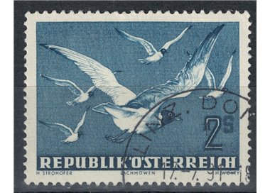 AUSTRIA 1950-53 Posta aerea, gabbiani us