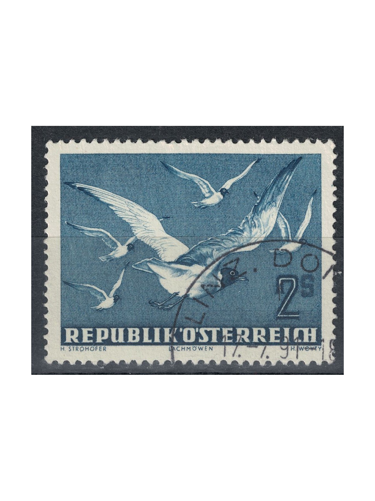 AUSTRIA 1950-53 Airmail, US Seagulls