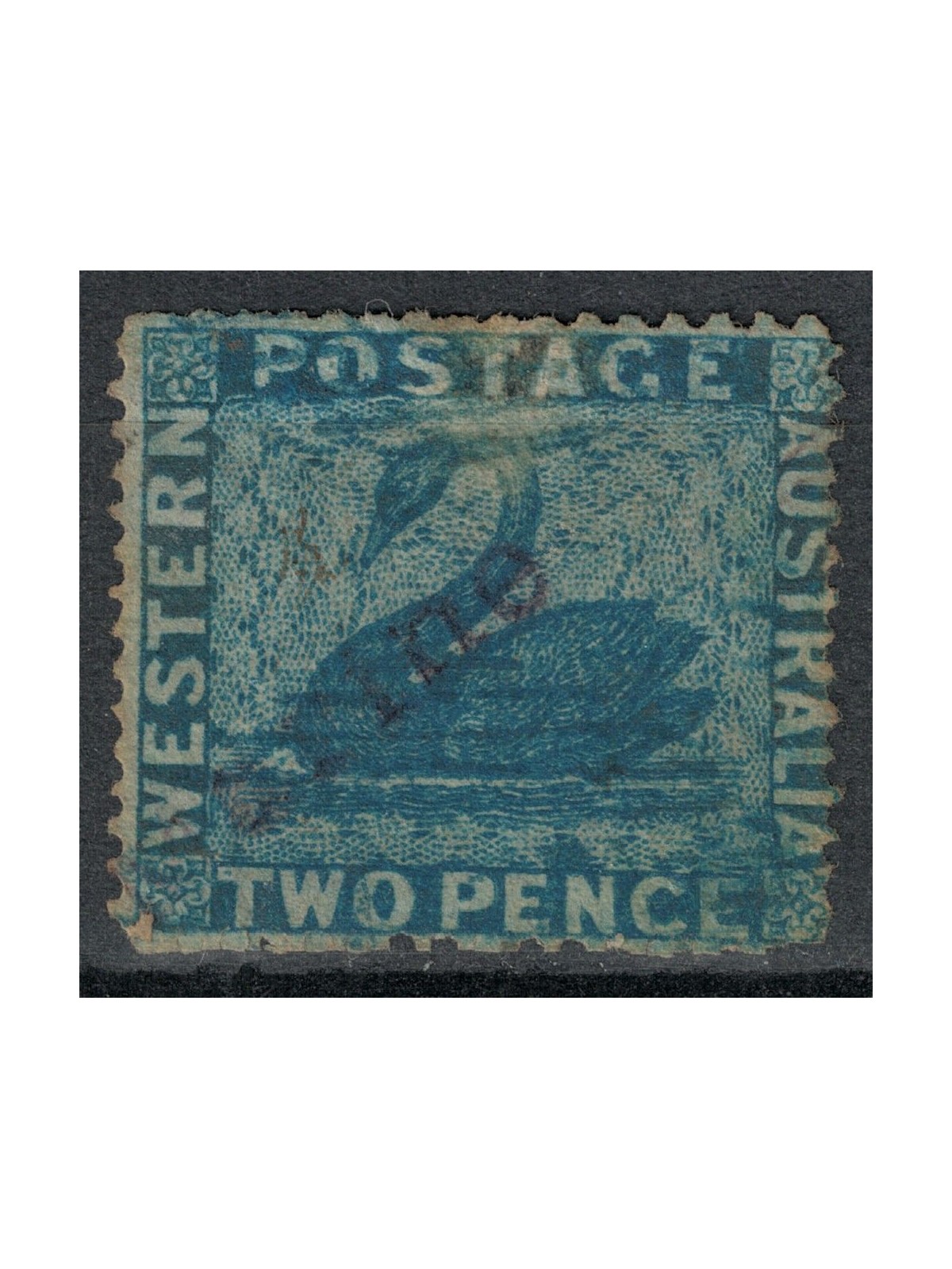WESTERN AUSTRALIA 1861 Swan, 2 Pence Blue US