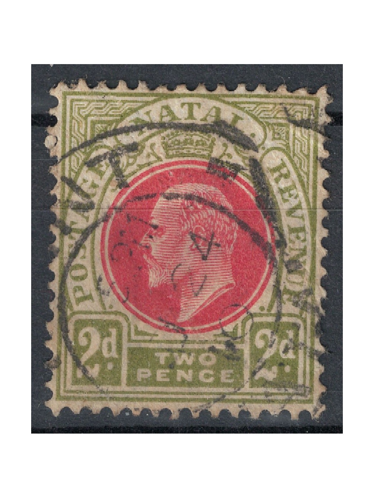 NATAL 1904-05 Edoardo VII 2p oliva e rosa us
