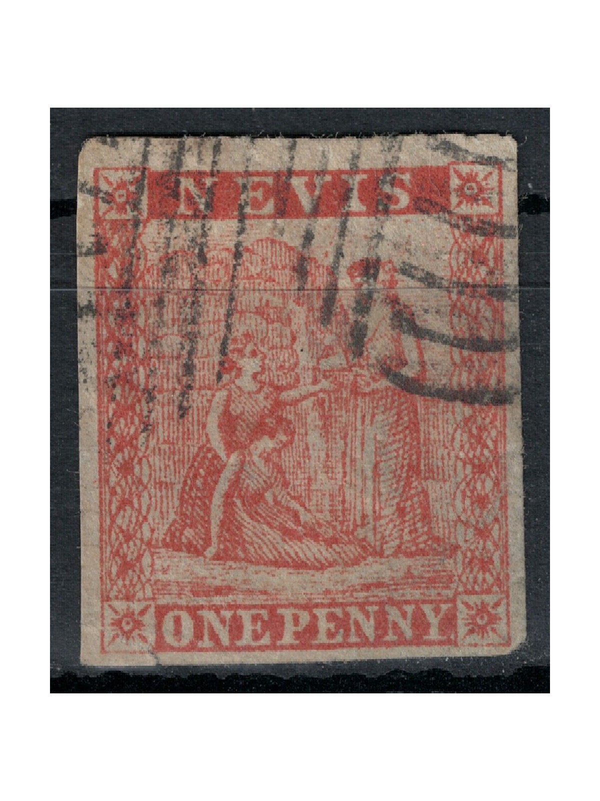 NEVIS 1876 Ordinary Series 1p red us