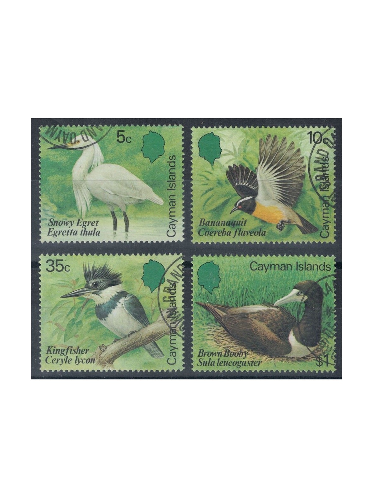 CAYMAN 1984 Fauna, birds 4v us