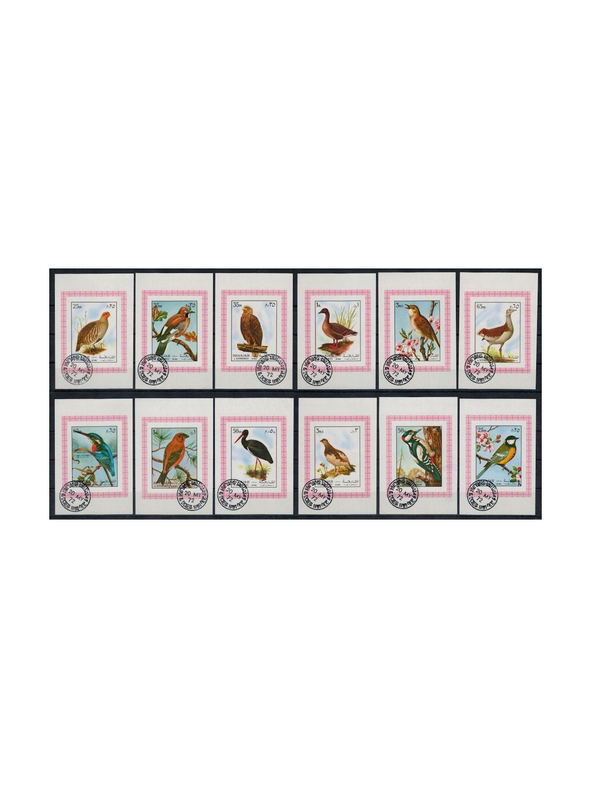 SHARJAH 1972 Fauna, uccelli 12 BF us