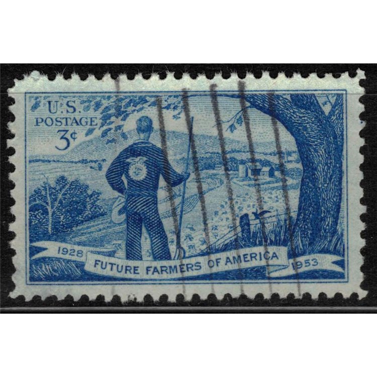 USA 1953 Organizzazione dei Futuri Allevatori us