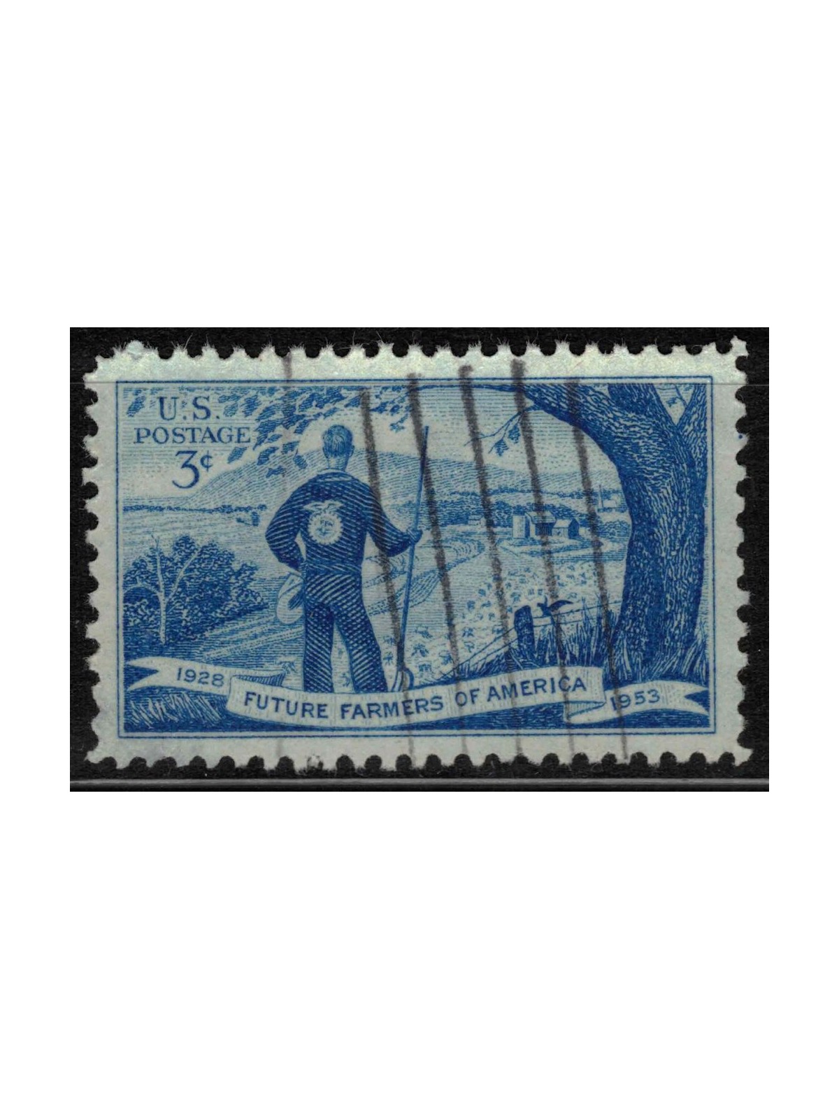 USA 1953 Organizzazione dei Futuri Allevatori us