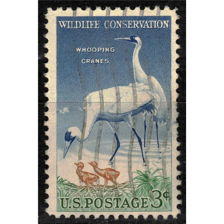 USA 1957 Protezione della fauna us